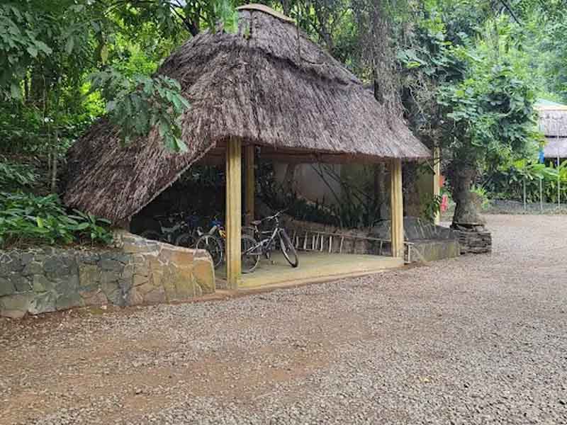 Mwanihana Forest Trek & Cultural Experience photo 2