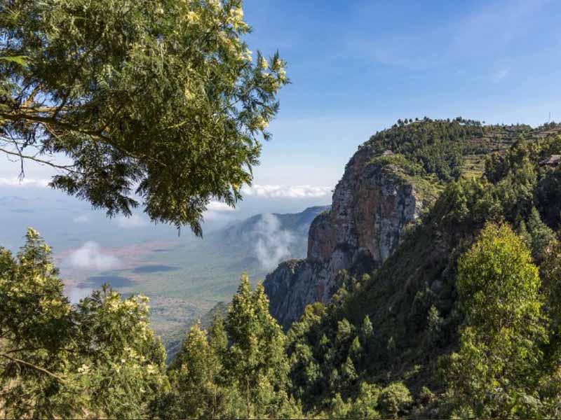 From Moshi to Lushoto & Local Village Walk photo 2