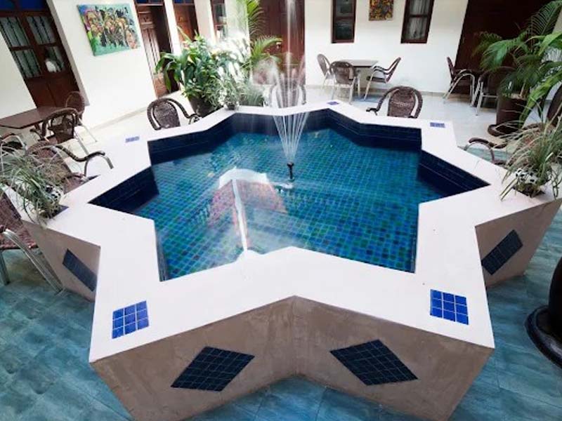 Dolphin Tour & Nungwi Nature Excursion photo 1