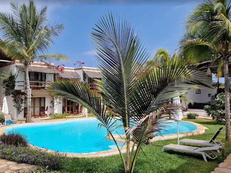 Snorkeling and Sunset dhow cruise - Nungwi photo 2