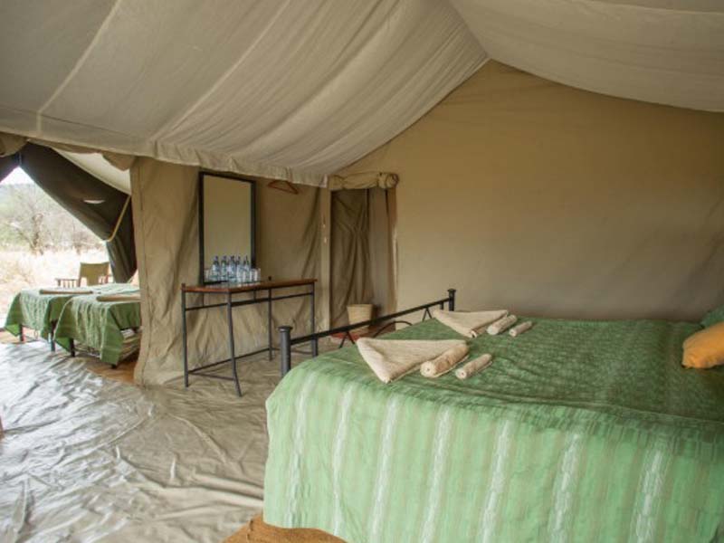 Southern Serengeti National Park (Ndutu) photo 2