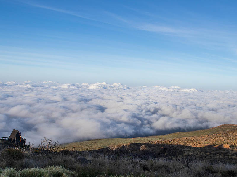 Kilimanjaro International Airport to your pre-climb lodge photo 1