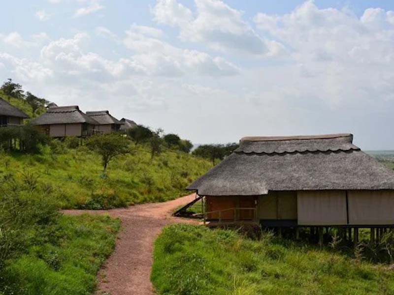 Serengeti National Park (full day in Seronera) photo 2