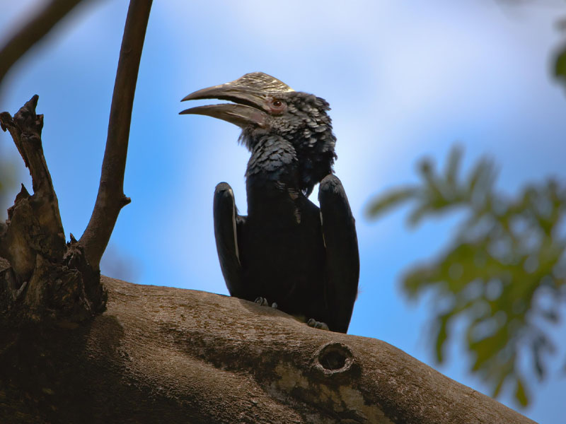 Arusha – Lake Manyara National Park photo 2