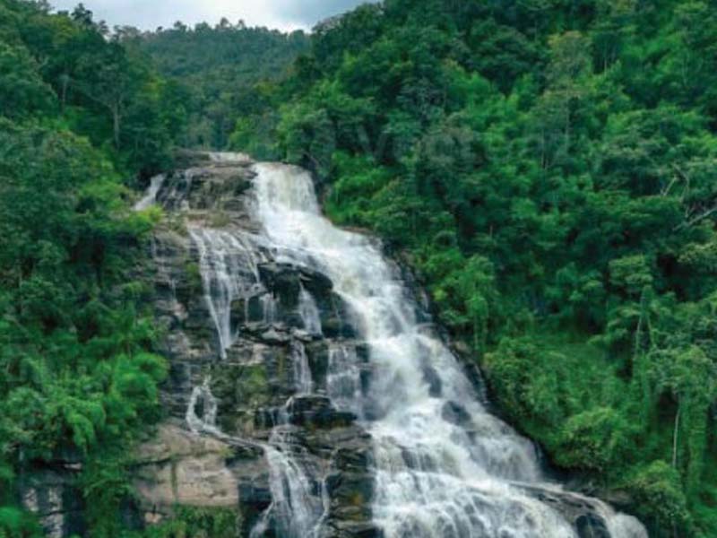 Usambara Mountains Forest & Waterfall Trek photo 2