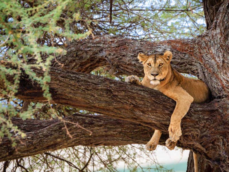 Day description photo 2