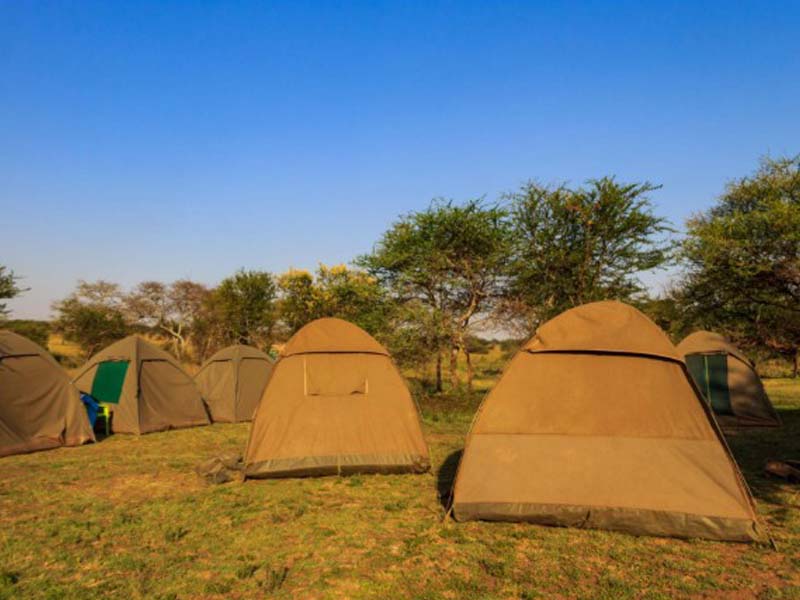 Serengeti National Park (Seronera) Full Day photo 2