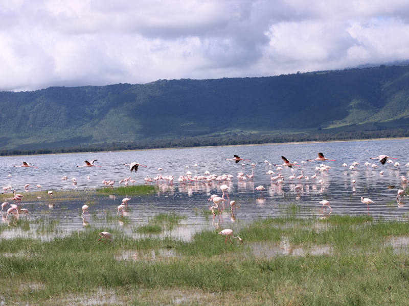 Karatu-Mto wa Mbu for cultural tour then go to Arusha town or Kilimanjaro International Airport (JRO) photo 1