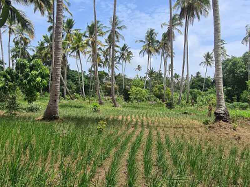 Organic Village Farm Tour photo 1