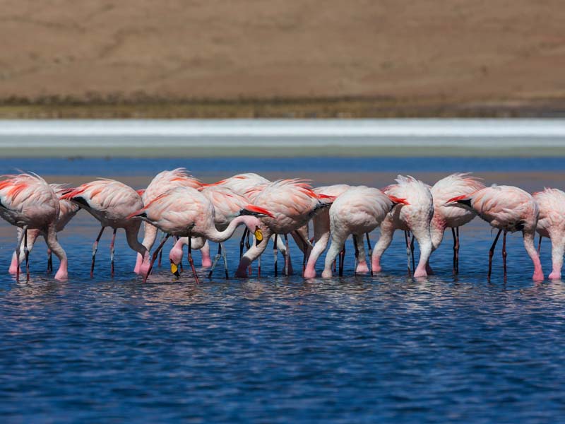 Serengeti – Ngorongoro – Kilimanjaro International Airport photo 1