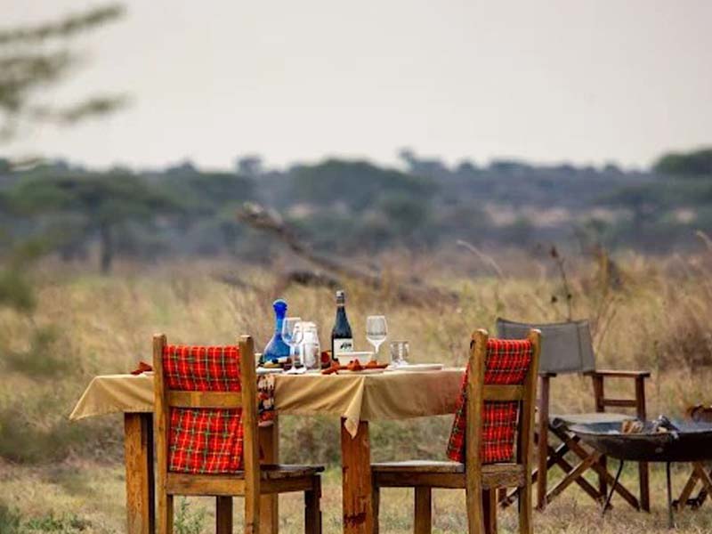 Serengeti National Park (Seronera ) Full Day photo 2