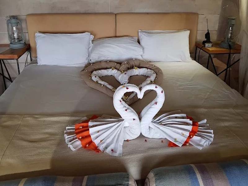 Serengeti Full-Day Game Drive photo 1