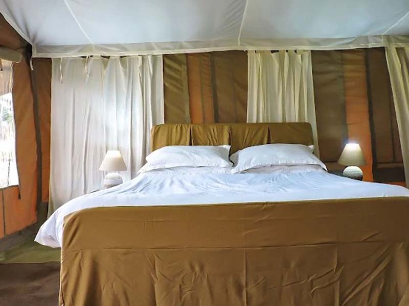 Serengeti National Park (Kogatende) Full Day photo 2