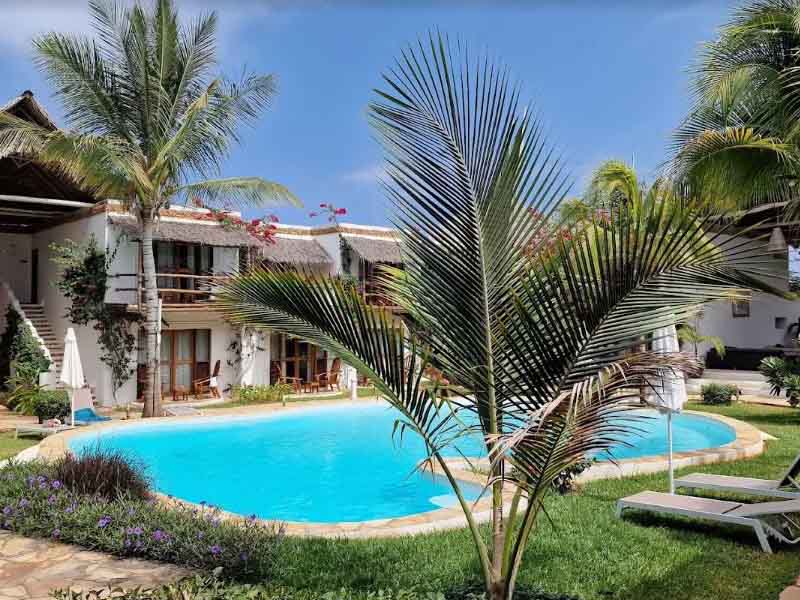 From Serengeti National Park to Zanzibar photo 1