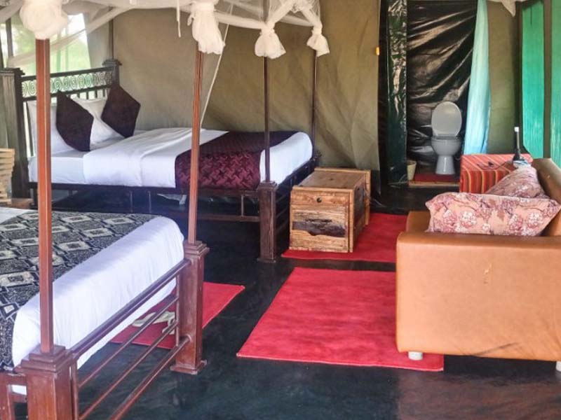 Serengeti National Park - Full day game drive photo 2