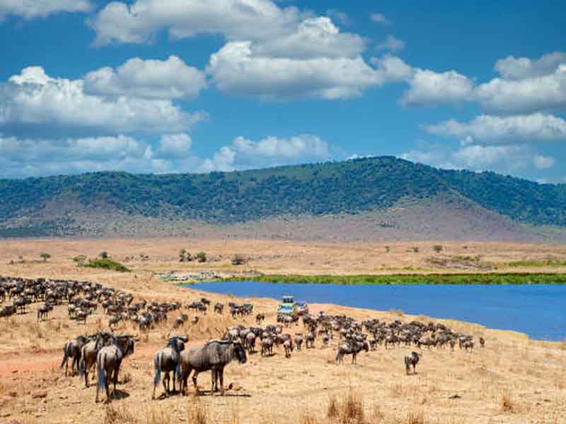 From Serengeti to Ngorongoro Crater photo 1