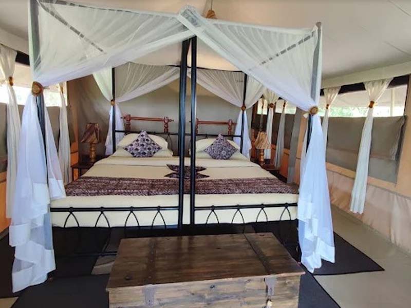 Serengeti Central - Mto wa Mbu photo 2