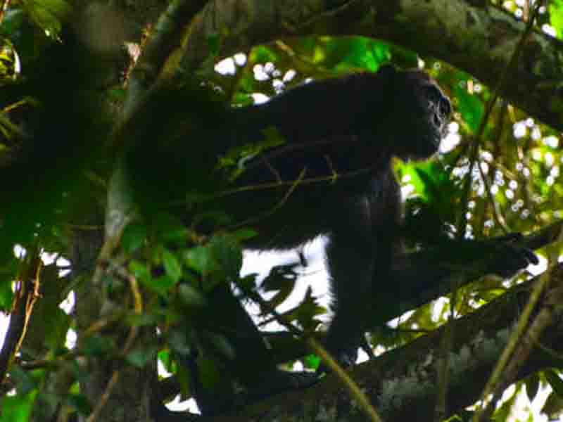 Tour description photo 2