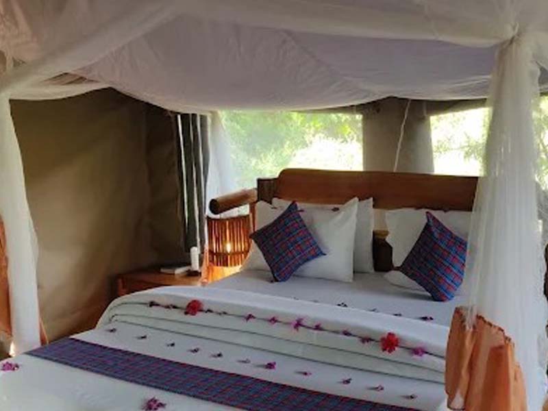 From Arusha → Tarangire National Park photo 1