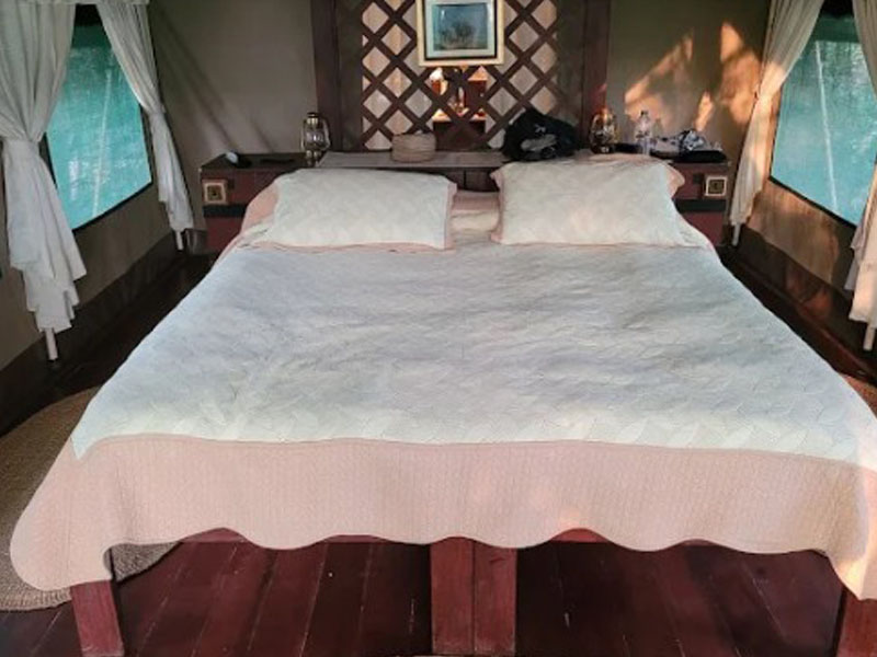Fly to Nyerere, Evening Game Drive & Night Safari photo 2