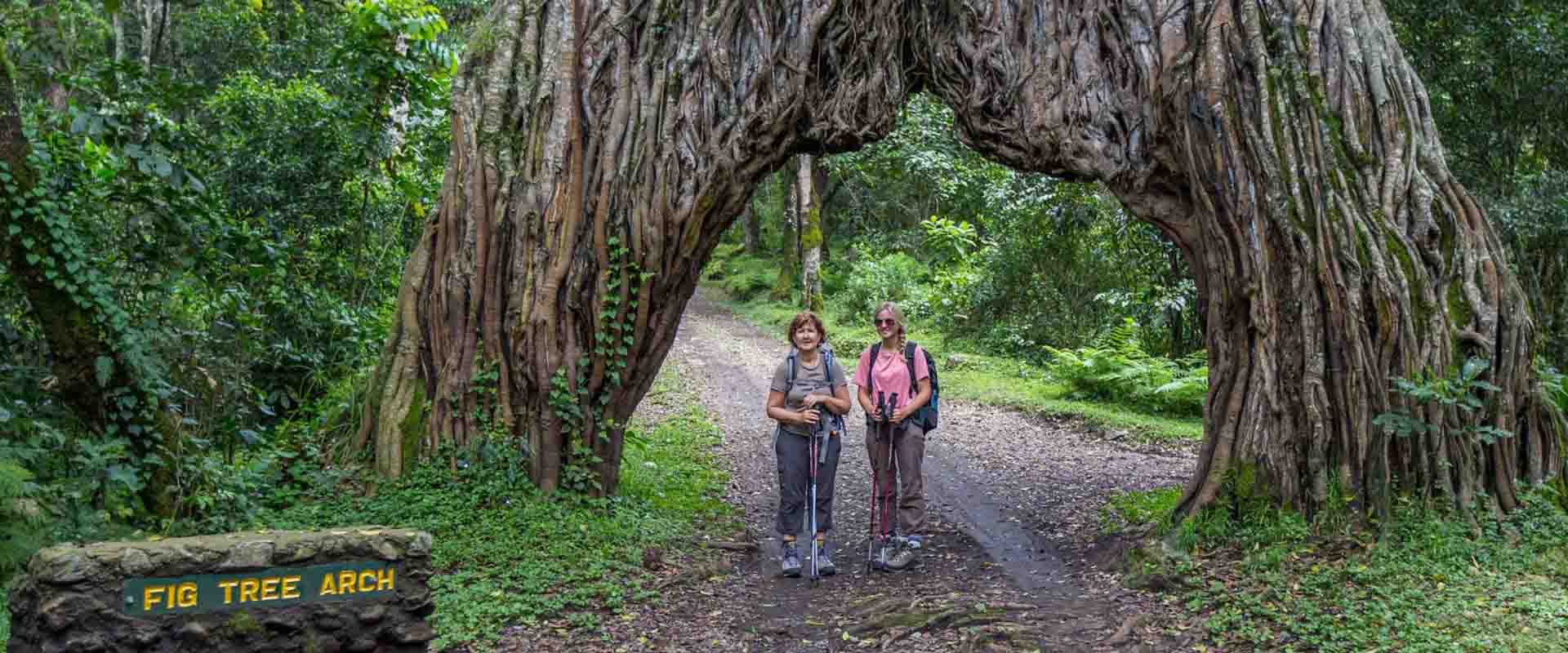 Nature Walks ( Soft walking Experience )