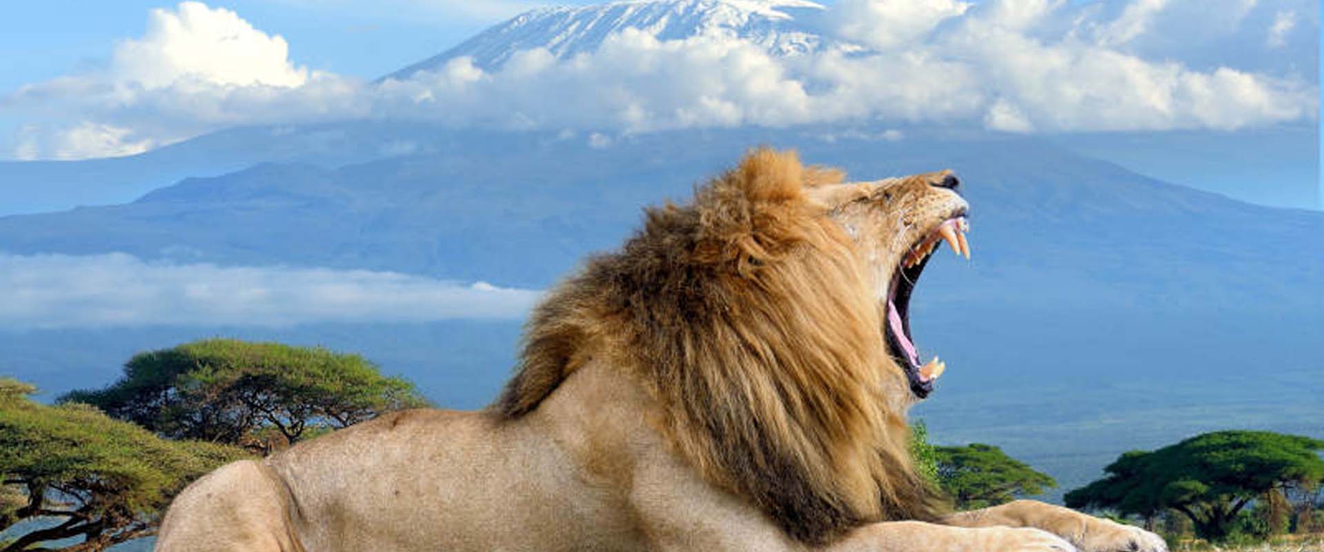 Trekking, Safari and Zanzibar Holidays