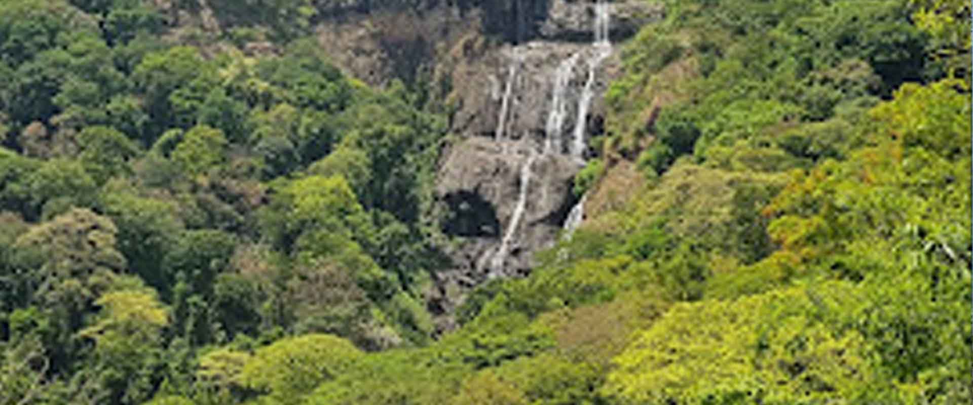 Udzungwa Mountain and Sanje Waterfall