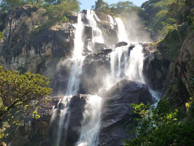 5 Days Udzungwa Trek + Mikumi National Park Safari