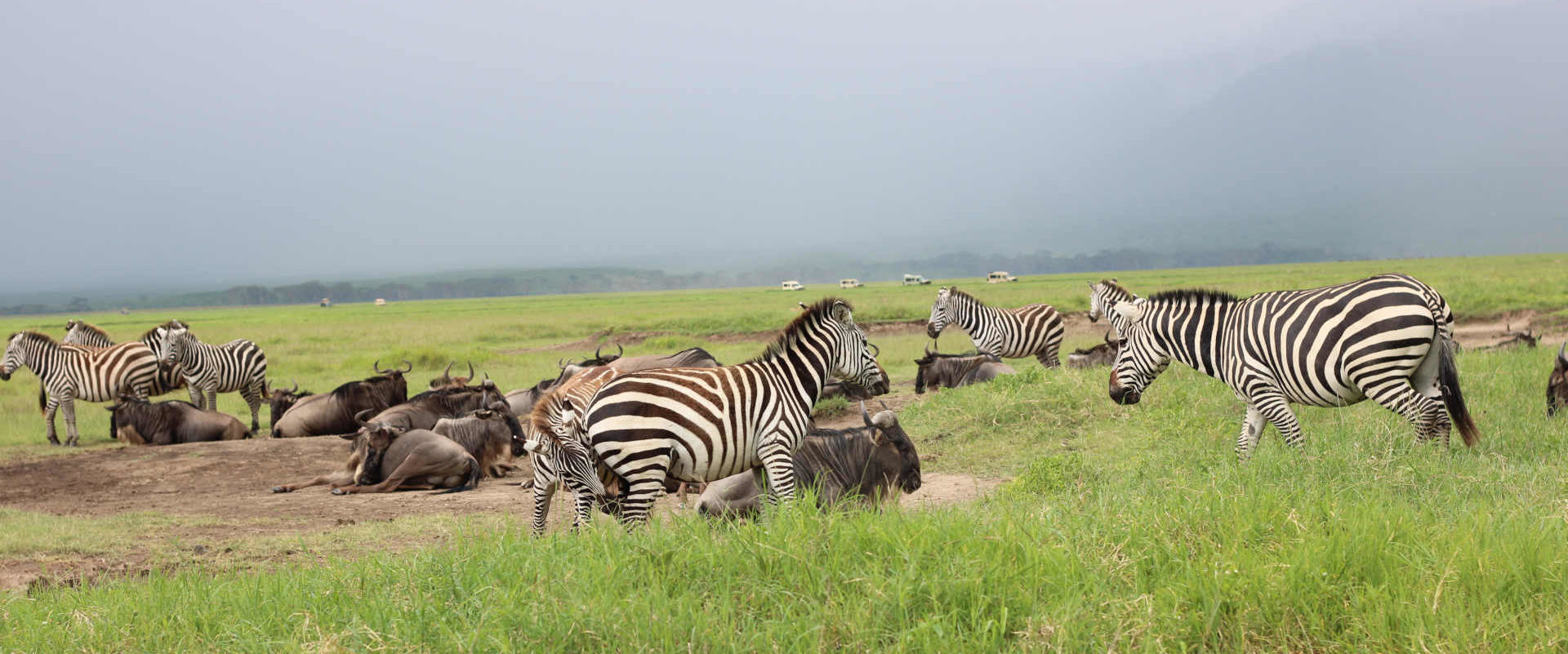 7 Days Spectacle Camping Safari in Tarangire, Serengeti & Ngorongoro