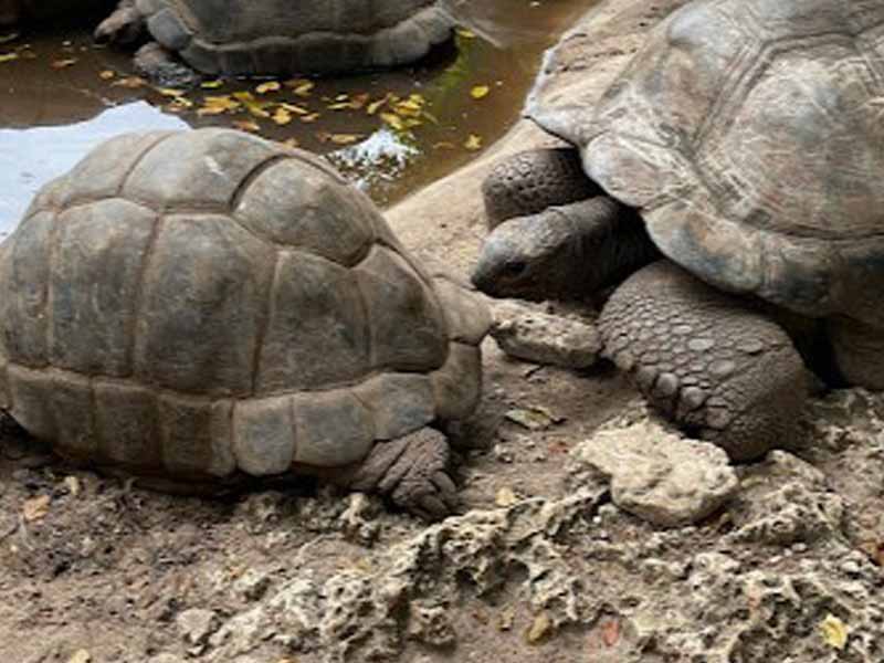 3 Days Zanzibar Nature & Wildlife Adventure