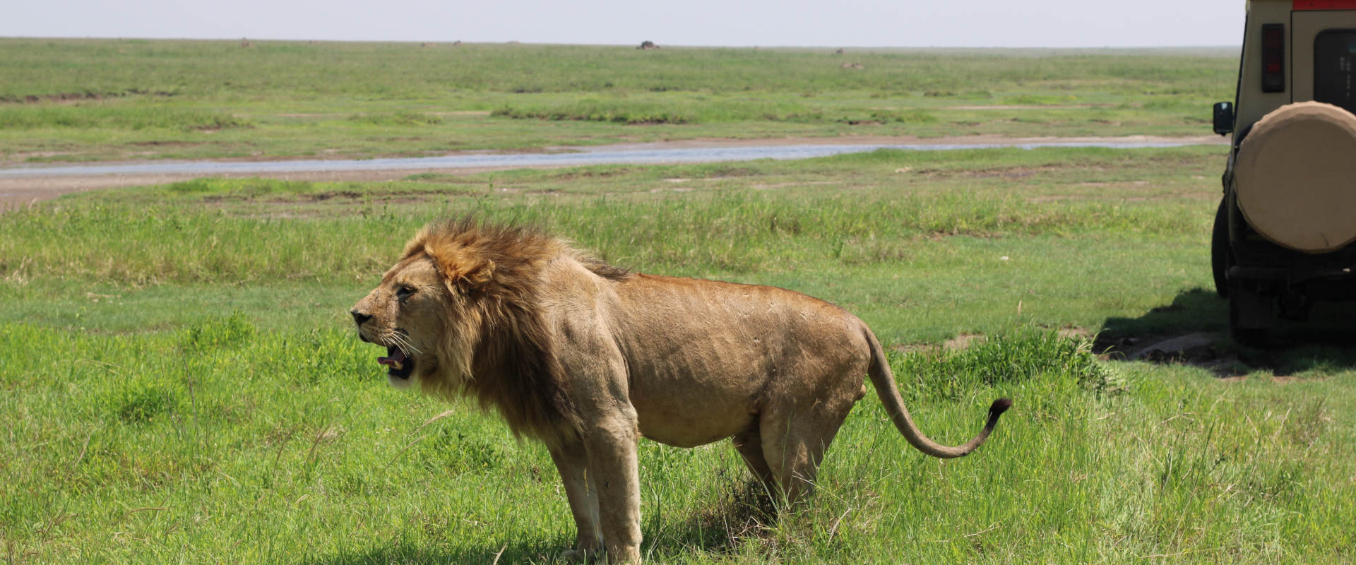 4 Day Budget Safari Serengeti & Ngorongoro Crater