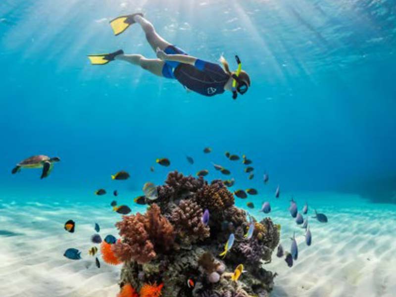 5 Days Classic Safari & Zanzibar Island Retreat