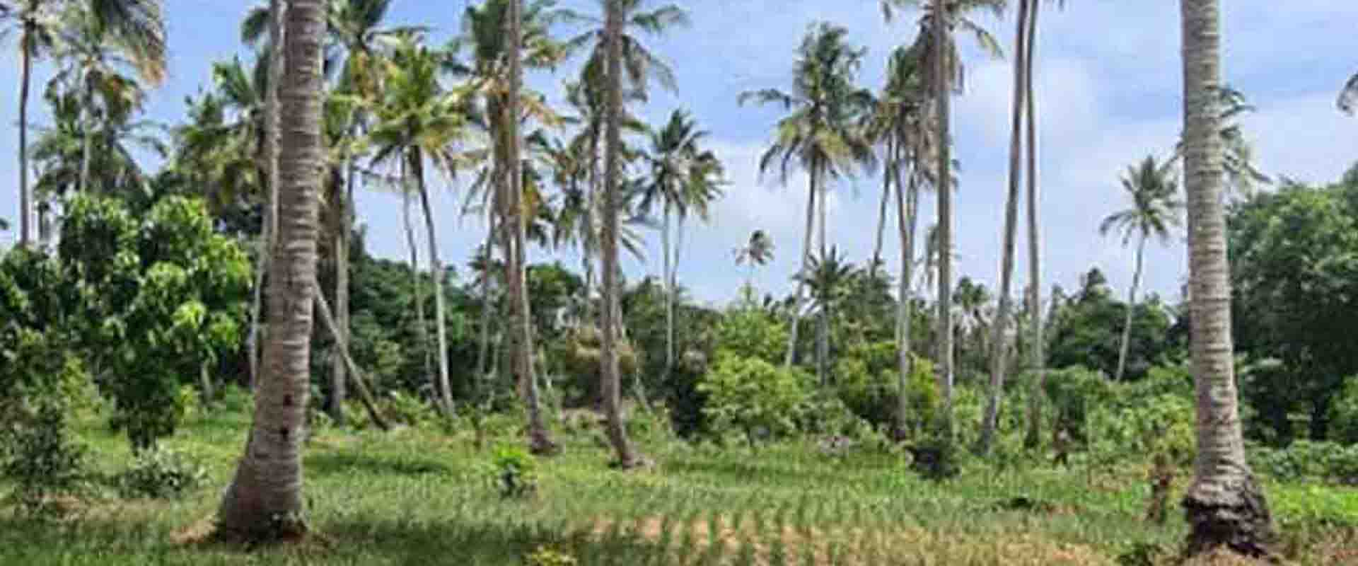 3 Days Spice & Organic Farm Experience