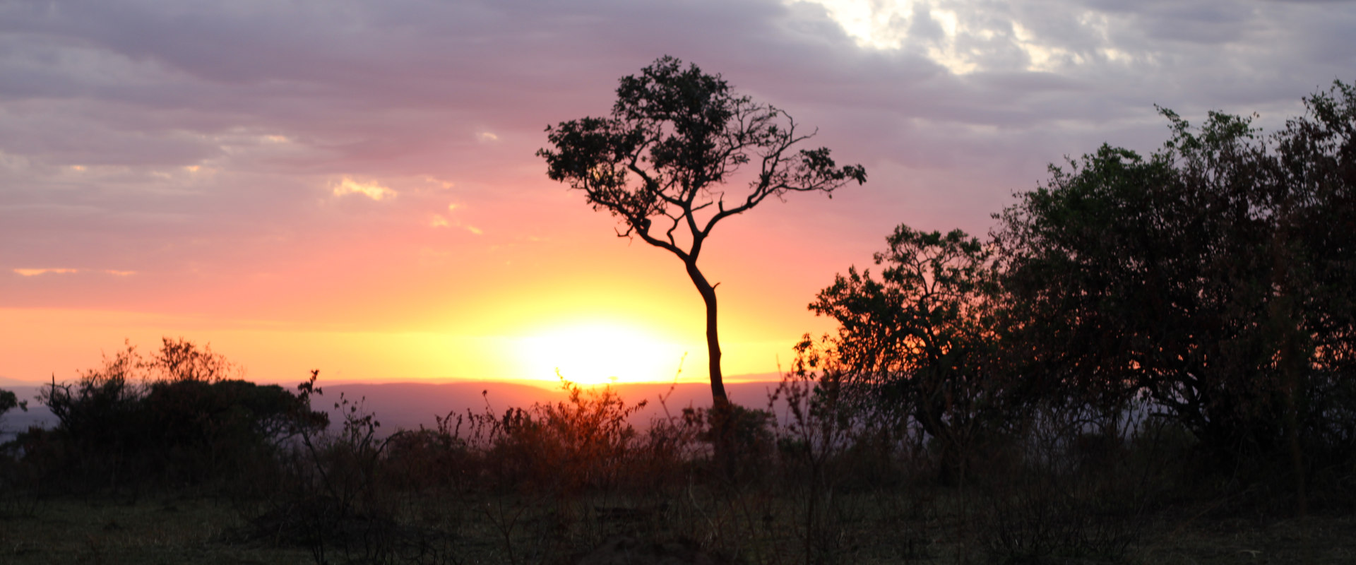 Kilimanjaro Trekking + Wildlife Safari + Zanzibar Beach Holiday