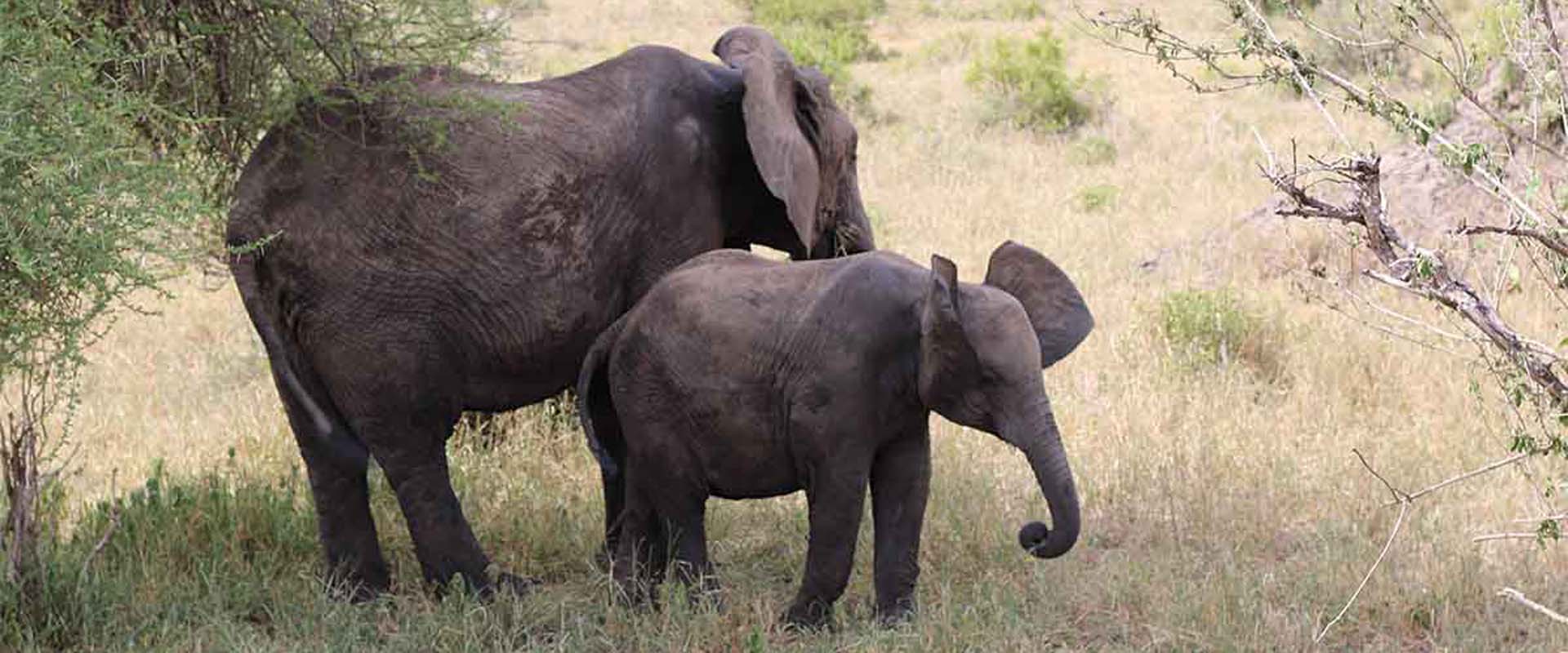 5 Days Classic Safari & Zanzibar Island Retreat