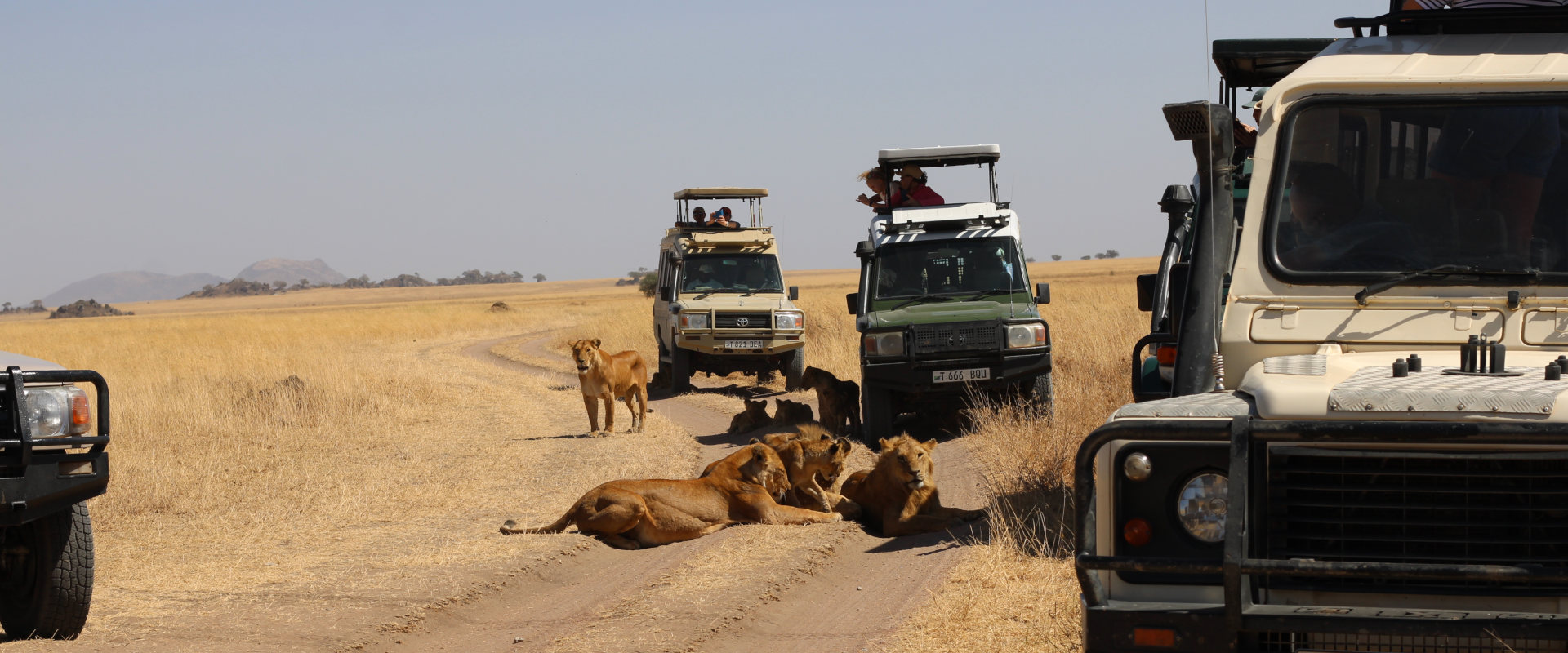 4 Days Super Luxury Safari Tarangire, Serengeti & Ngorongoro