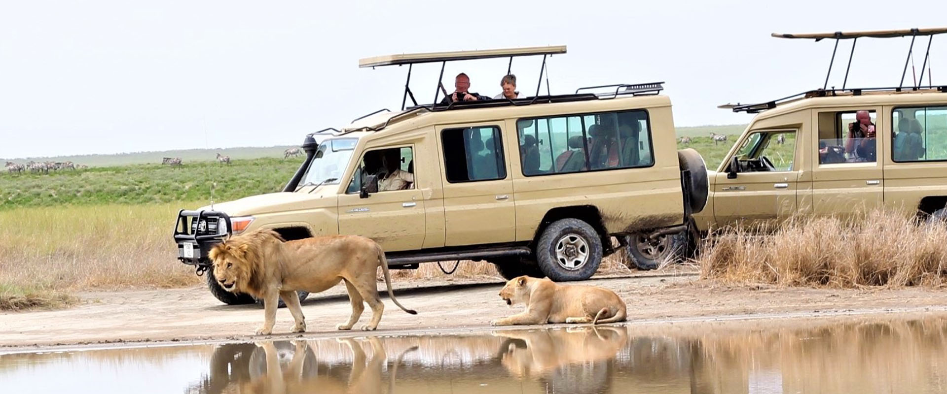 5 Days Tarangire National Park, Canopy in Lake Manyara, Cultural tour in Mto wa Mbu,& Zanzibar