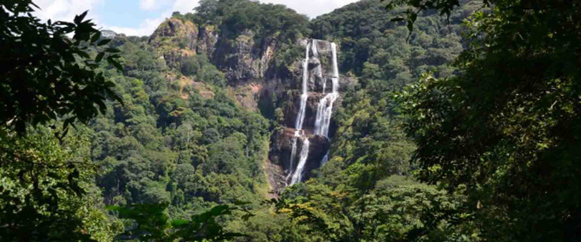 5 Days Udzungwa Mountains Hiking & Nature Adventure