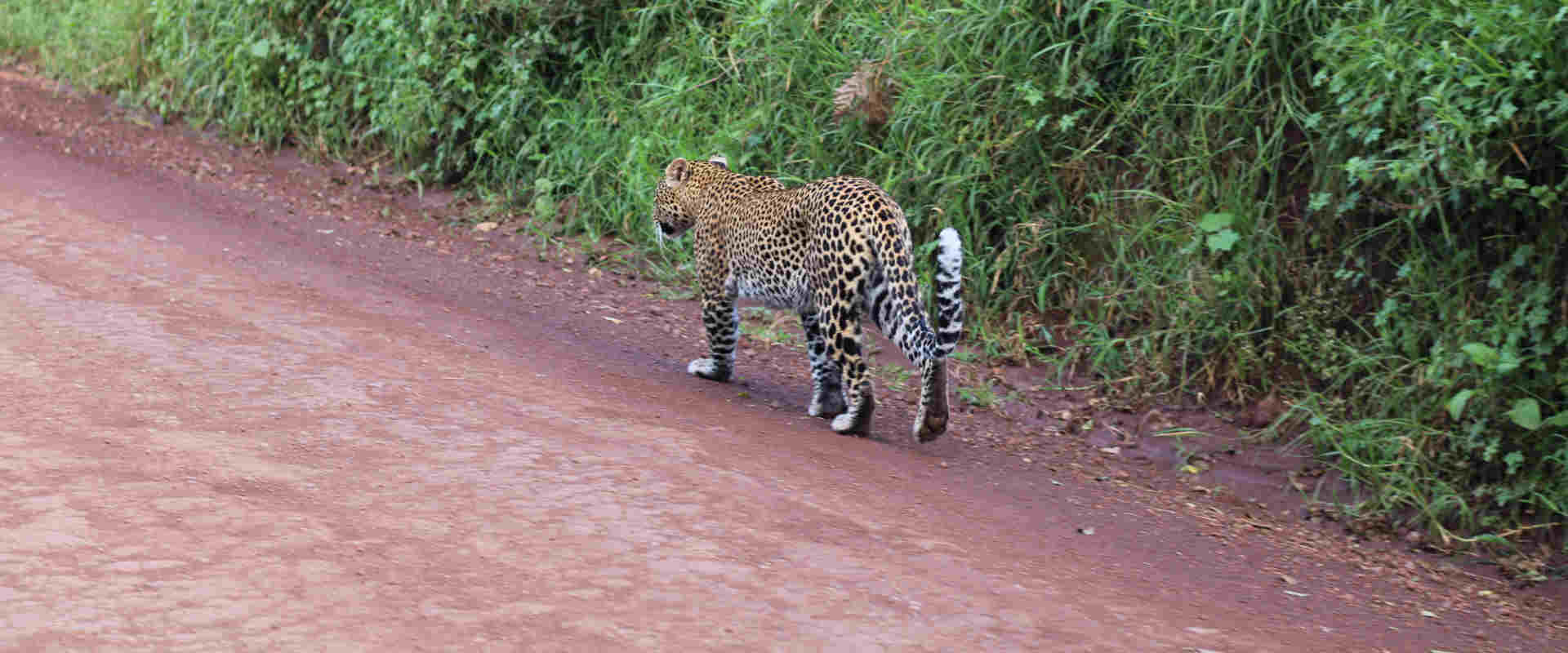 5 Day Camping Safari Serengeti & Ngorongoro Crater