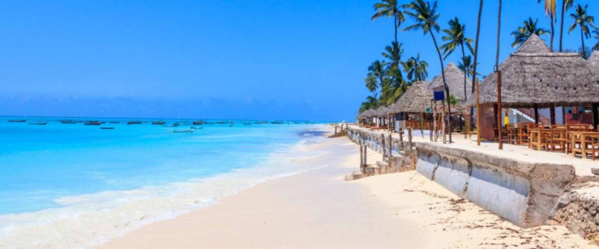 2 Days Zanzibar Nature & Wildlife Escape