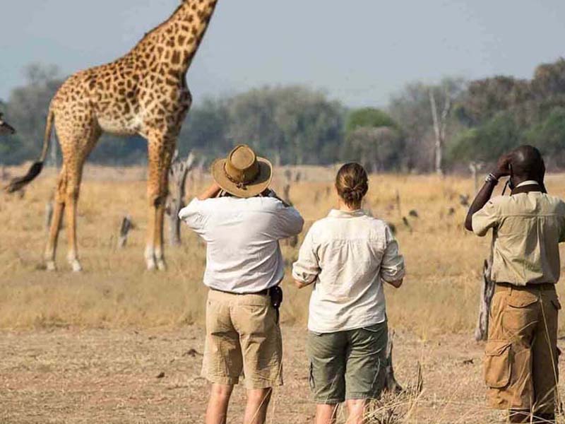 Arusha National Park-Armed Walking Safari