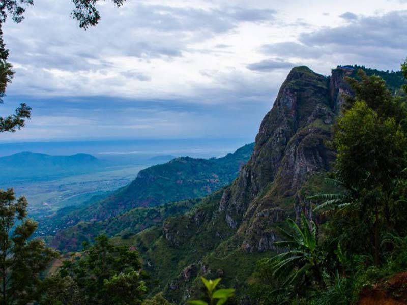 2 Days Usambara Mountains Hiking Adventure