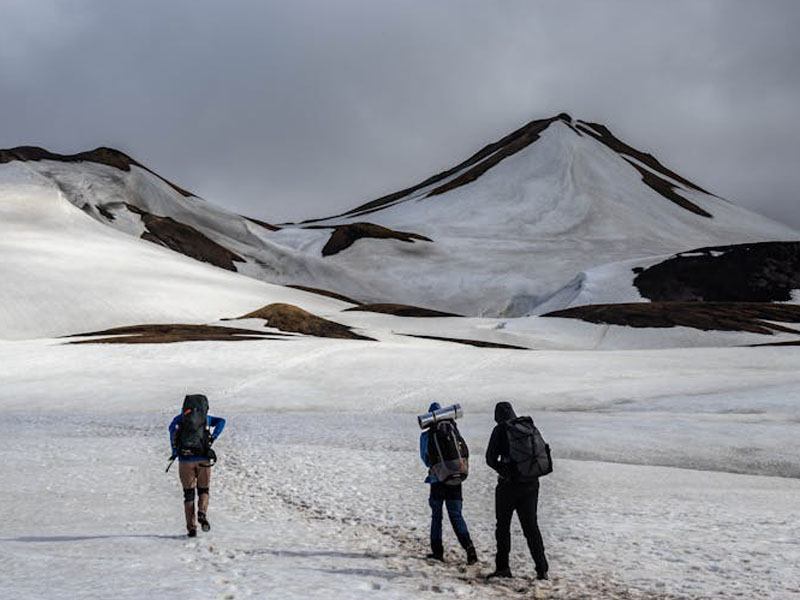 Mount Kilimanjaro Day Tour