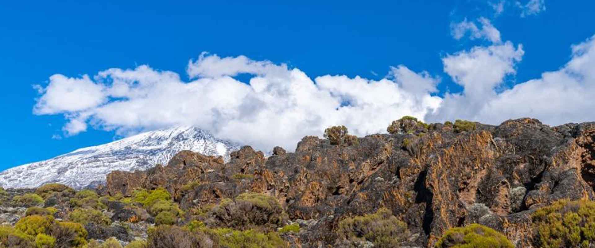 1 Day Kilimanjaro Hike – Rongai Route
